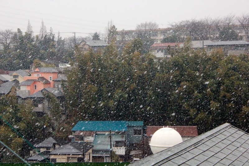 a0248459_14215637.jpg