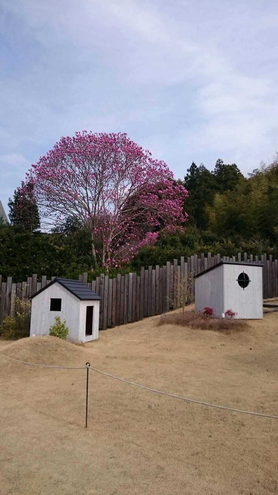 c0327061_11114341.jpeg
