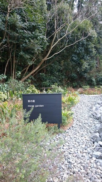 c0327061_11504517.jpg