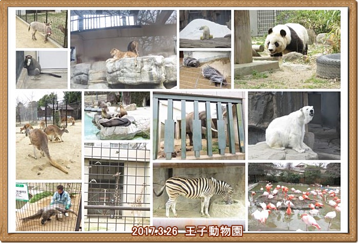 みんなで「王子動物園」・・・一年半ぶり_a0052666_17224630.jpg