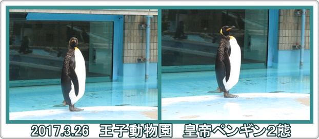 みんなで「王子動物園」・・・一年半ぶり_a0052666_17253844.jpg