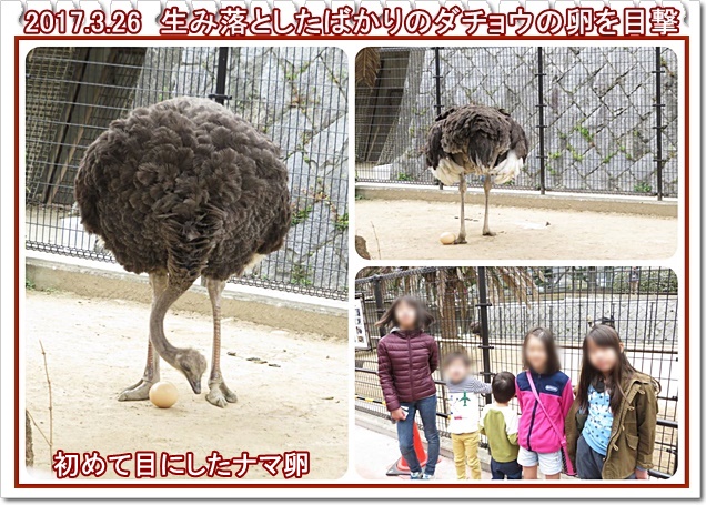 みんなで「王子動物園」・・・一年半ぶり_a0052666_17261533.jpg