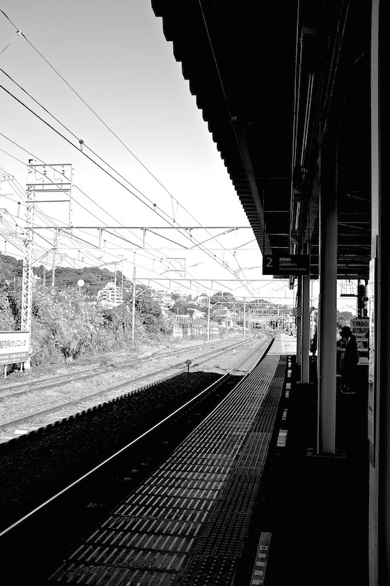 d0175768_21390676.jpg