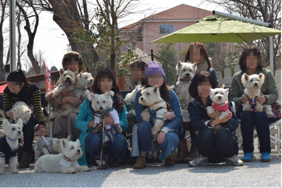 b0242873_22123784.png