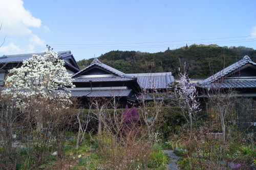 e0181373_21350713.jpg