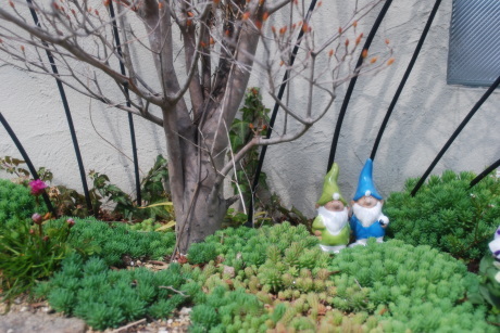 小人の散策_d0251580_14244999.jpg