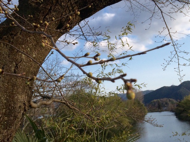 f0379286_20060443.jpeg