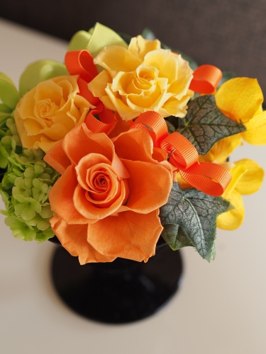 【Orange/Yellow/Pink/Farewell】_d0144095_15435560.jpg