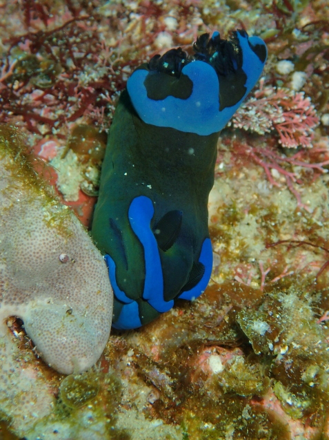 e0115199_14194501.jpg
