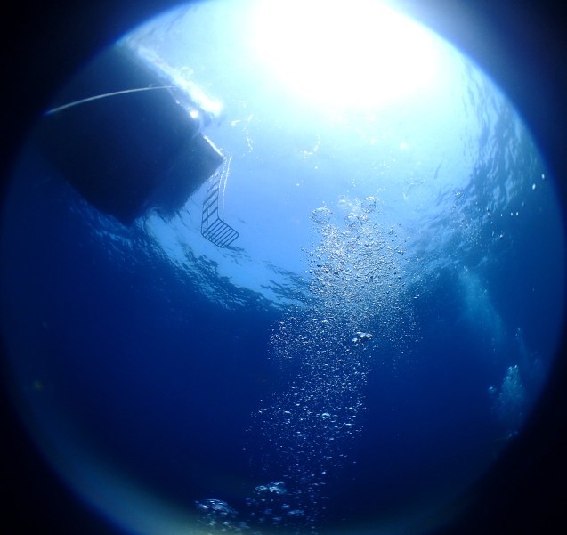 e0115199_17022254.jpg
