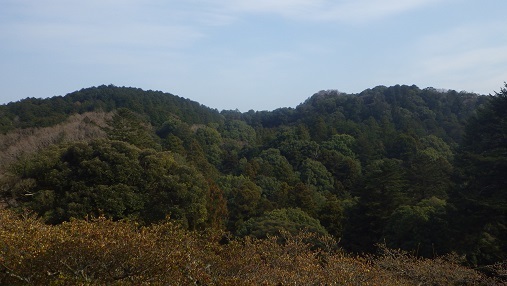 気持ちのいい公園と廃虚の番犬_e0056401_22391122.jpg