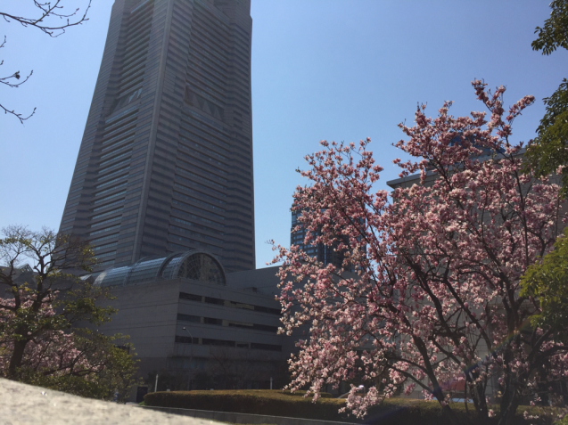横浜みなとみらい in Spring_f0144003_12033771.jpg