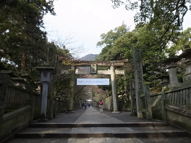 金刀比羅宮＠香川県仲多度郡琴平町_f0197703_17183300.jpg