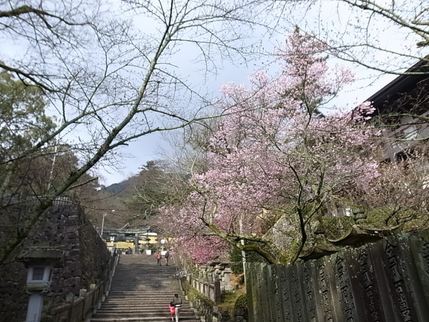 金刀比羅宮＠香川県仲多度郡琴平町_f0197703_17185572.jpg