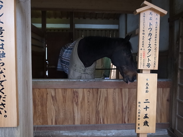 金刀比羅宮＠香川県仲多度郡琴平町_f0197703_17200346.jpg