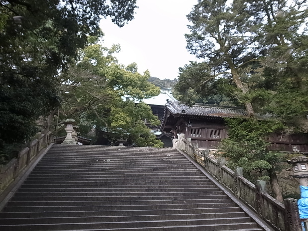 f0197703_17211452.jpg
