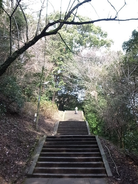 f0197703_17271137.jpg
