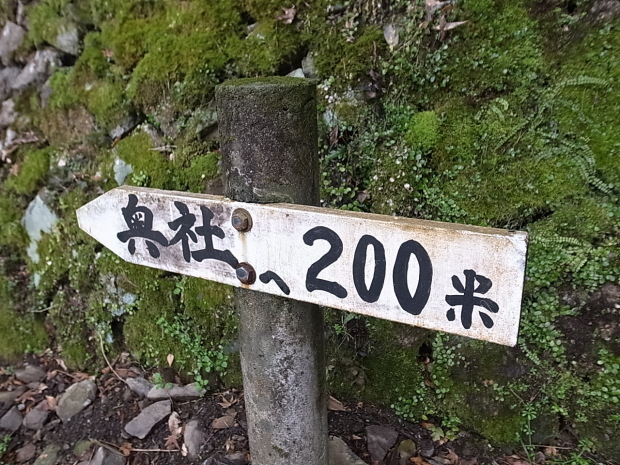 f0197703_17273019.jpg