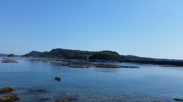 和歌山県　潮岬と紀伊大島ポタリング　ターンリンクp24h_c0266004_18450063.jpg