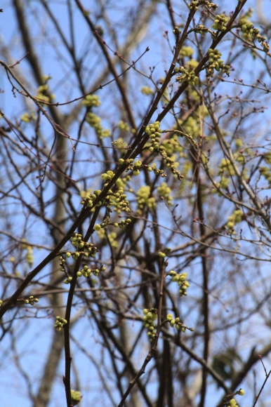 a0139007_21134420.jpg