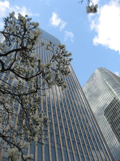 c0062511_21484822.jpg