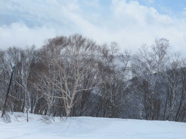 d0351213_654214.jpg