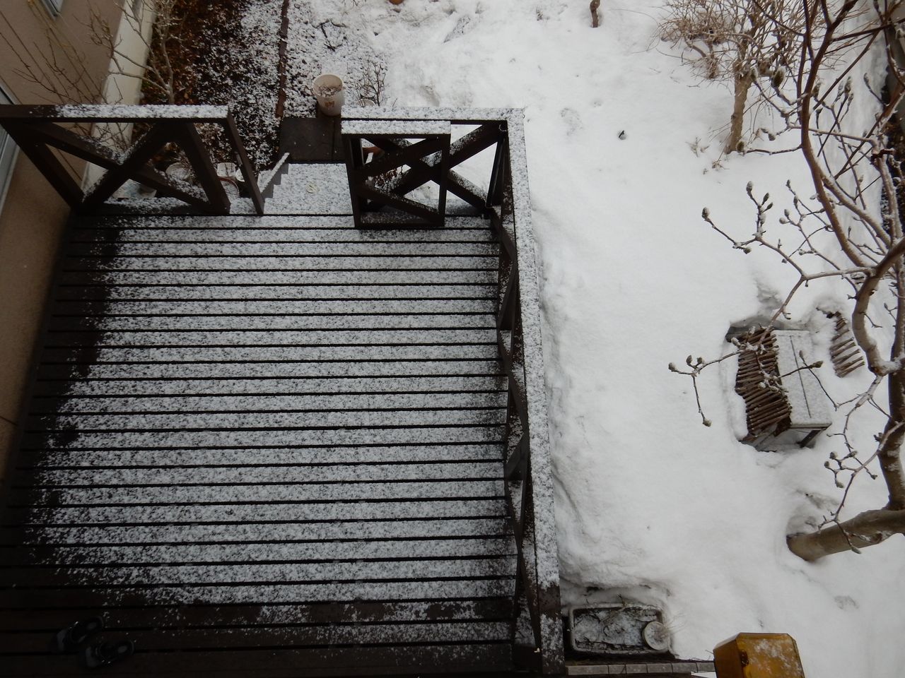 春の淡雪_c0025115_20354684.jpg
