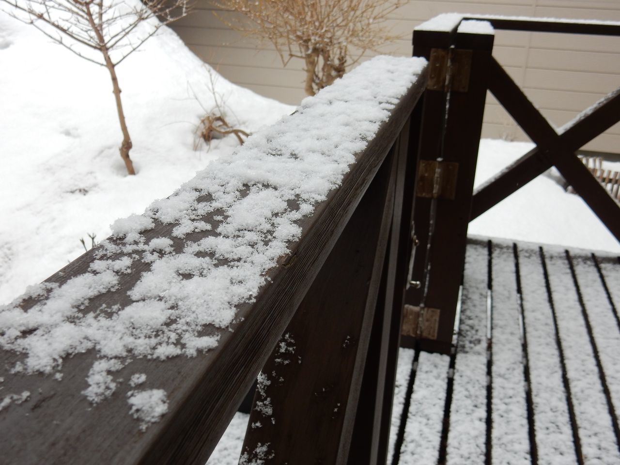 春の淡雪_c0025115_20355098.jpg