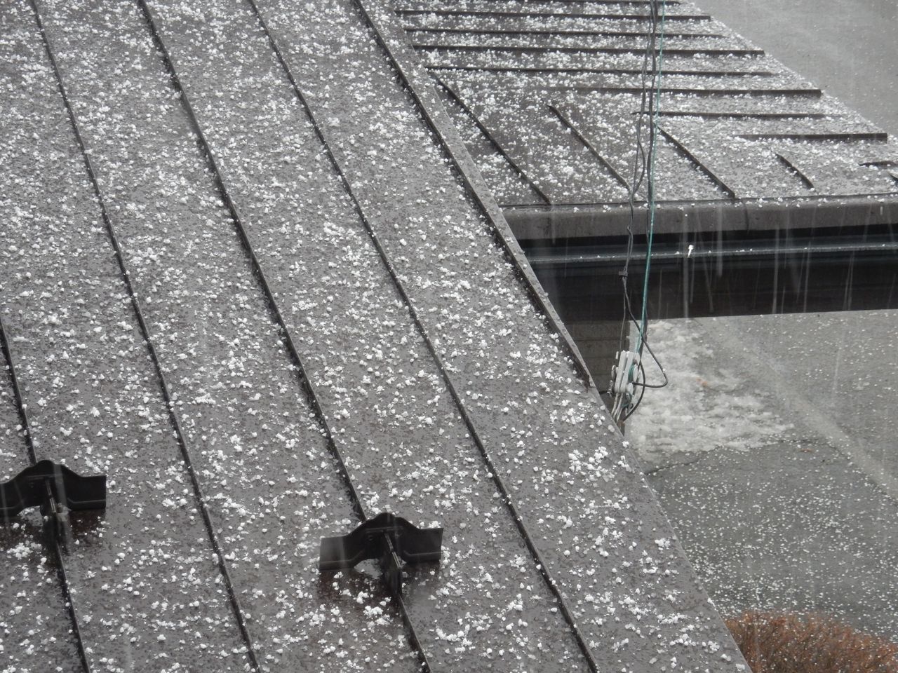 春の淡雪_c0025115_20363526.jpg