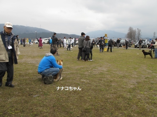 ナナコちゃん（桂花号）が遊びに来てくれた！_f0143123_09583306.jpg