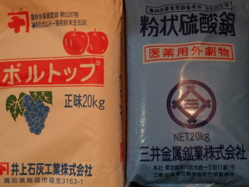 ボルドー散布_f0325525_00495257.jpg