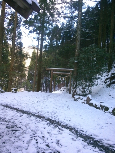 e0129231_17494820.jpg