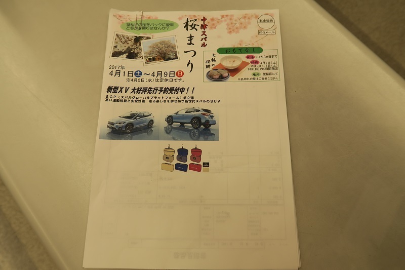 奇石とブリヂストンタイヤ_f0076731_19221310.jpg