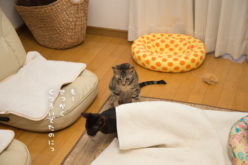 新しい遊び_d0355333_09385882.jpg