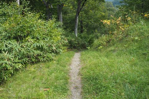 b0042334_23241751.jpg
