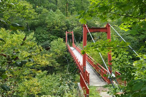 b0042334_23264290.jpg
