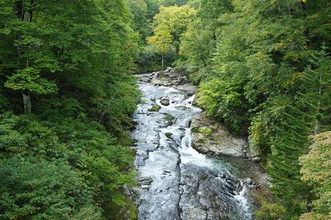 b0042334_23265940.jpg