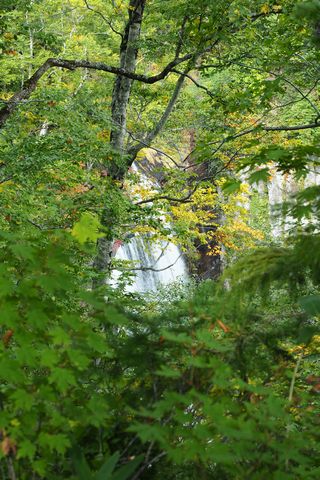 b0042334_2327512.jpg