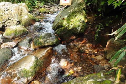 b0042334_23283639.jpg