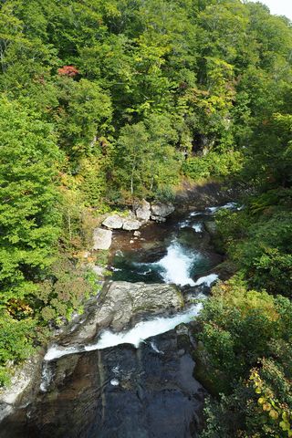 b0042334_2328561.jpg