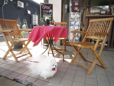 スキー場であそぶ(2)_b0177436_1635141.jpg