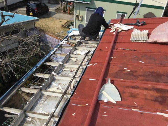 屋根上の女仕事人と仕事人_f0031037_20432540.jpg