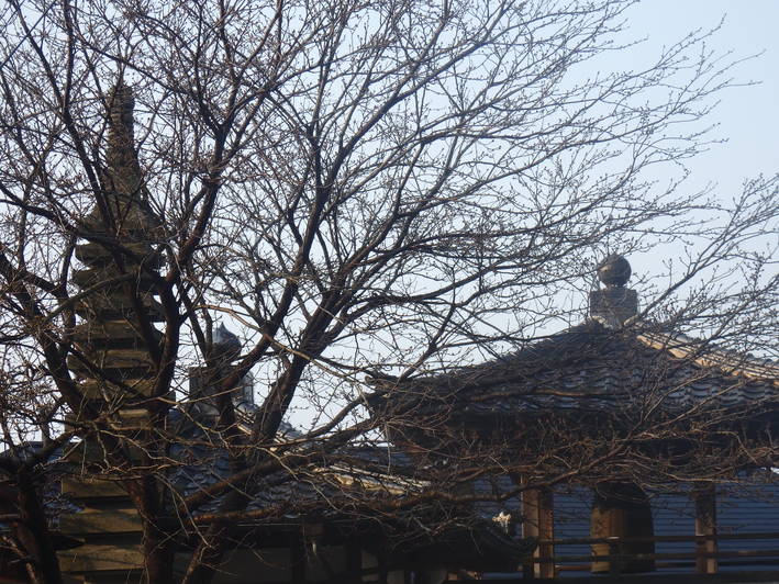a0054240_21271436.jpg