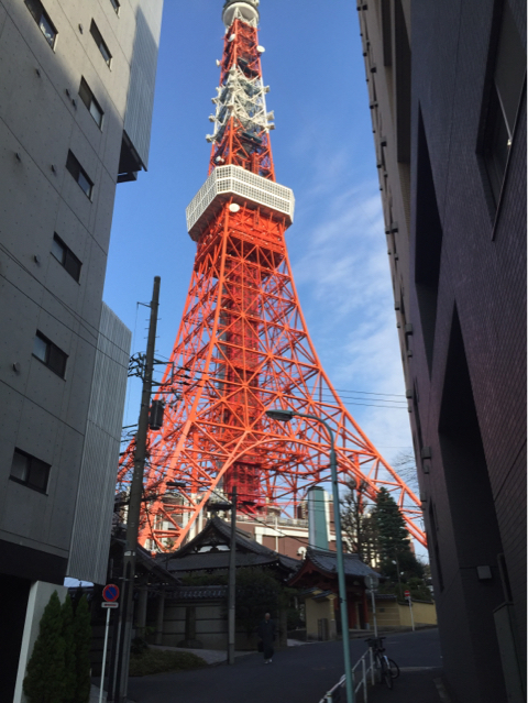 ラーメン！ つけ麺！ 僕イケメン♪ 後記。_b0136045_17163007.jpg