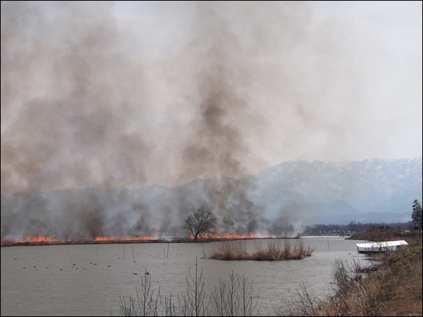 湖面に炎と煙がたなびいて_f0333346_11433898.jpg