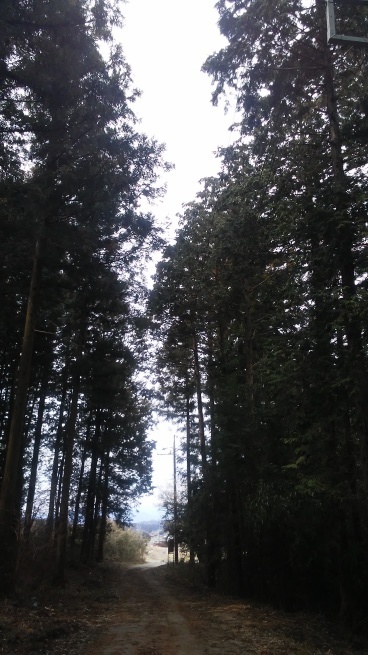 b0126453_07345525.jpg
