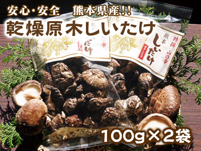 原木しいたけ コマ打ち作業2017 伐採からコマ打ちまで(前編)_a0254656_19510244.jpg