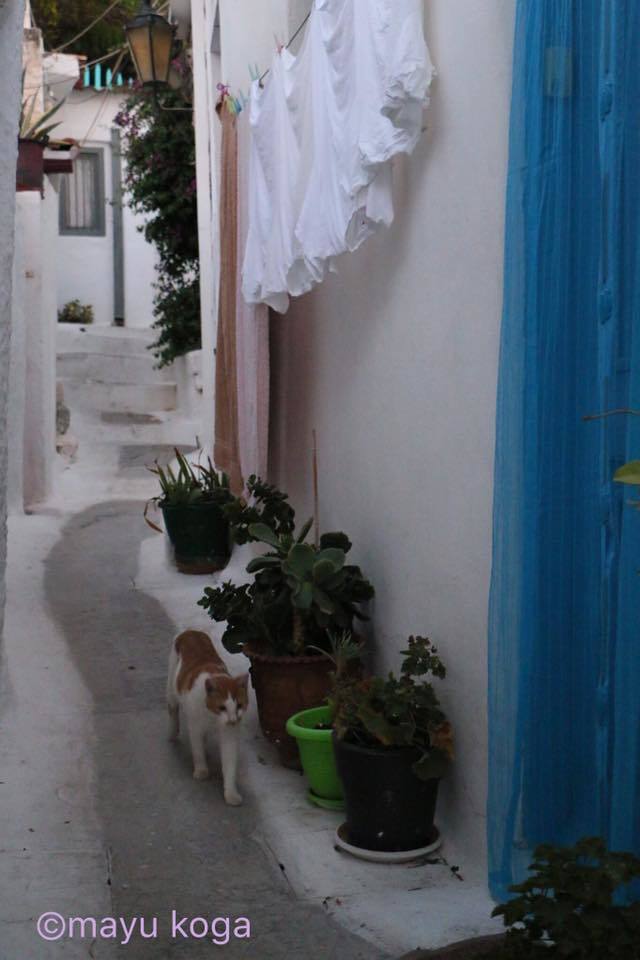 e0255060_00425702.jpg