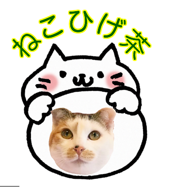 a0246661_20254518.png