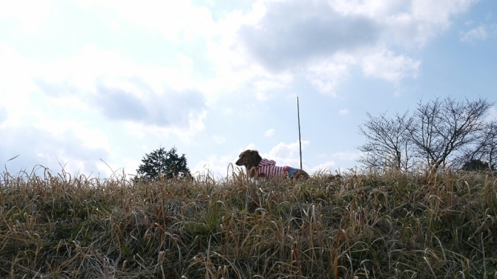 c0220065_23542907.jpg